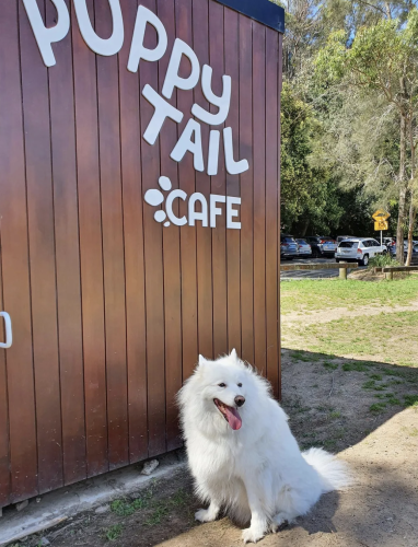 Puppy Tail Cafe