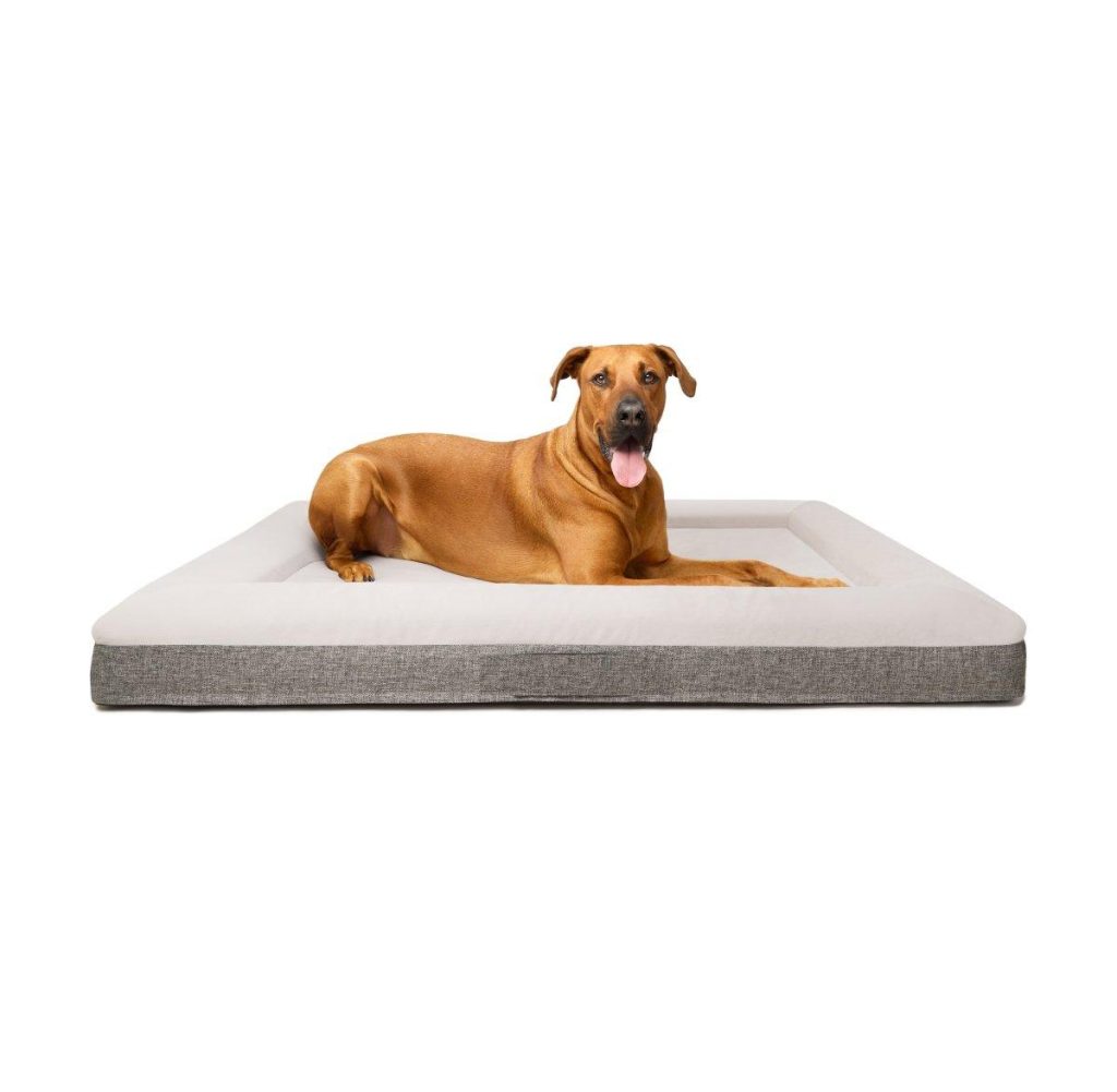 Orthopeadic Dog Bed - XL