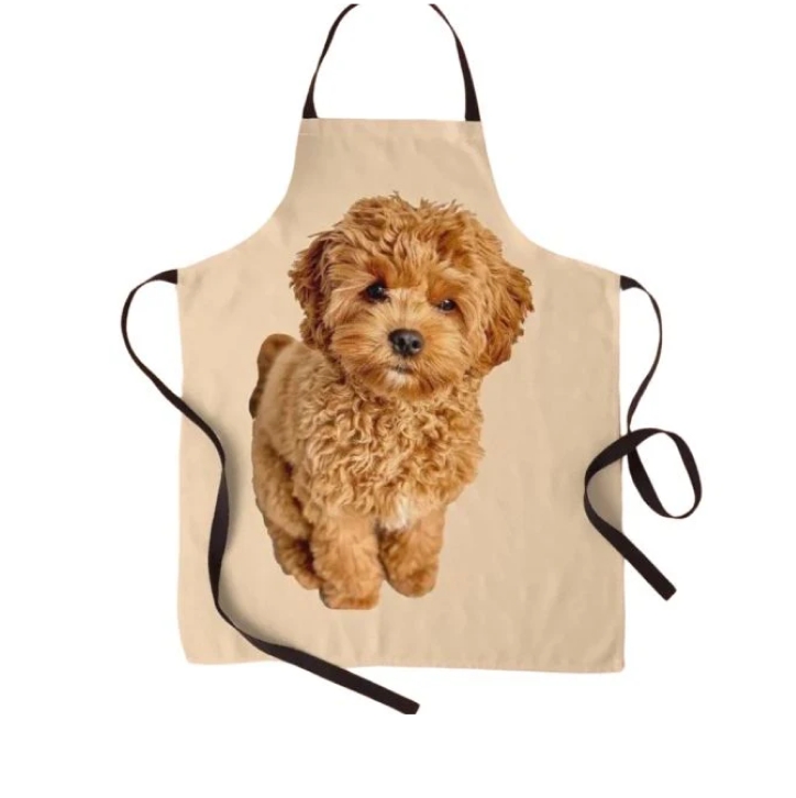 Cavoodle Apron